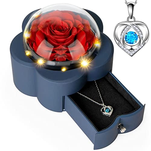 Preserved Red Real Rose with I Love You Necklace -Eternal Flowers Rose Gifts for Mom Grandma Wife Girlfriend on Mothers Day Valentines Christmas Birthday Anniversary Romantic Gifts for Her - EVERRD USA