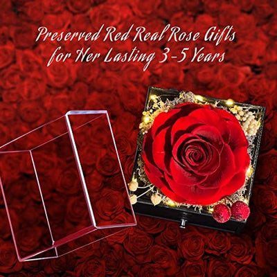 Preserved Red Real Rose with I Love You Necklace -Eternal Flowers Rose Gifts for Mom Grandma Wife Girlfriend on Mothers Day Valentines Christmas Birthday Anniversary Romantic Gifts for Her - EVERRD USA