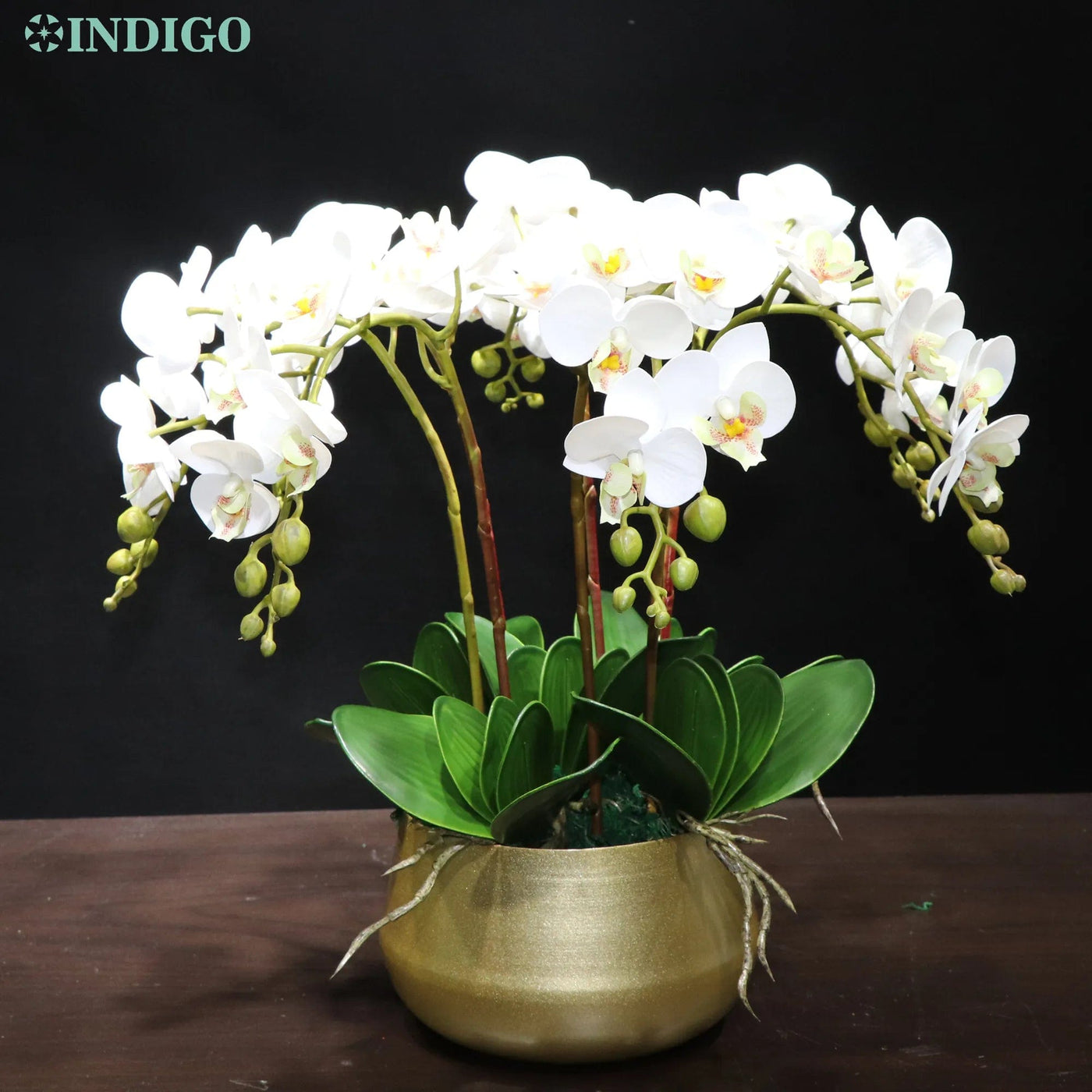 Eternal Orchids Real Touch Elegance - EVERRD USA