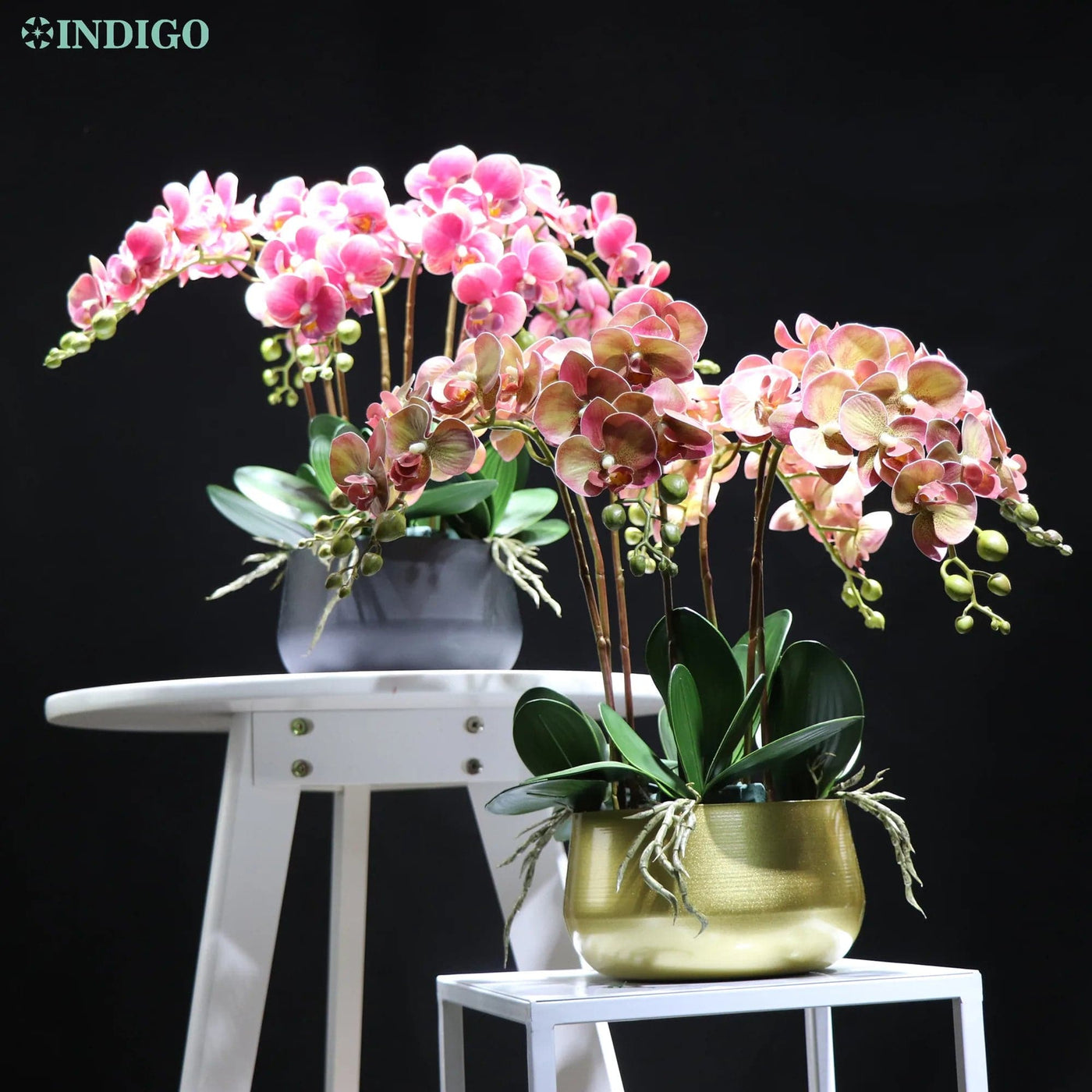 Eternal Orchids Real Touch Elegance - EVERRD USA