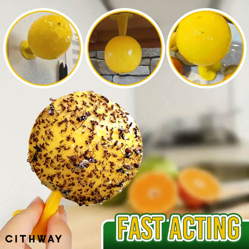 Cithway™ Sticky Fly Trap Ball - EVERRD USA
