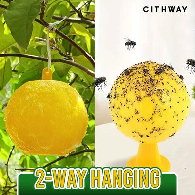 Cithway™ Sticky Fly Trap Ball - EVERRD USA